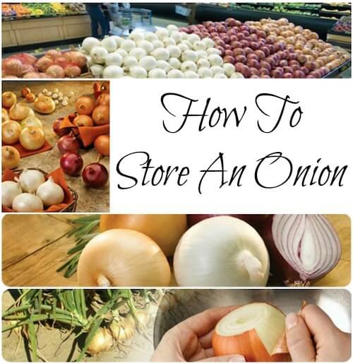 How to Store Onions So They Stay Fresh